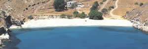 tzia2.jpg