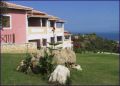 thumbnail_photo-06.jpg